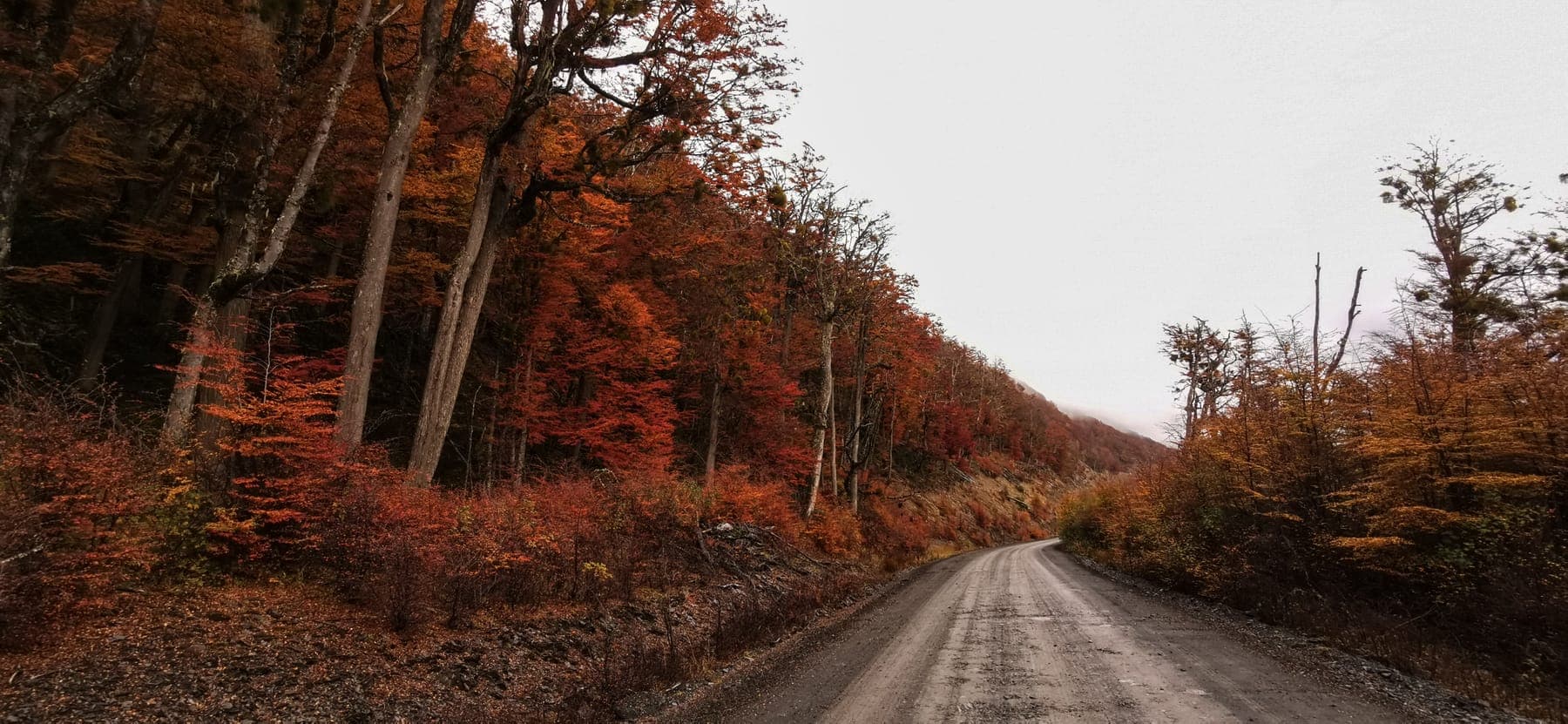 Otoño Camino Caleta María, Cordillera Darwin, Tierra del Fuego